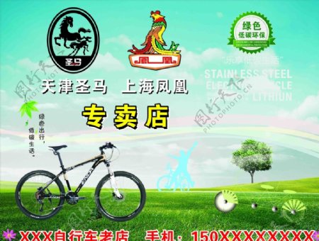圣马凤凰自行车专卖图片