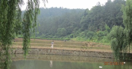 韶山风景图片