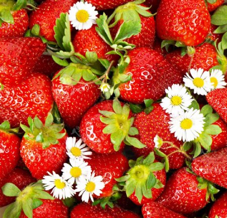 新鲜草莓素材图片