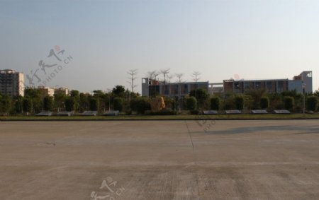 校园风景图片