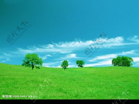 蓝天绿地草坪树山破图片