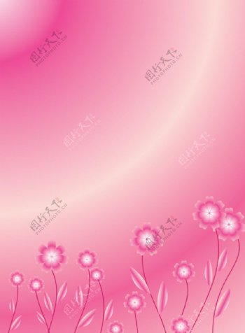 粉红色小花背景图片