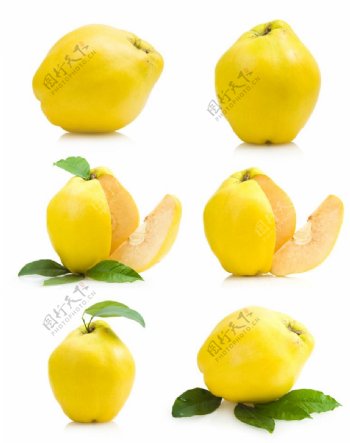 黄色新鲜梨子图片
