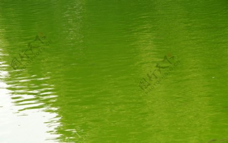 绿色湖水玛瑙湖水图片
