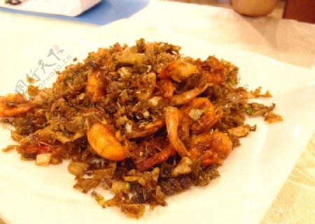 茶叶虾虾图片
