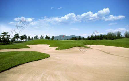 高尔夫球场图片