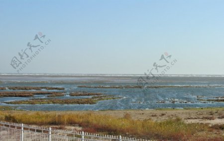秦皇岛北戴河隆兴示范园湿地保护区图片