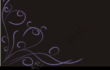 紫藤叶图片