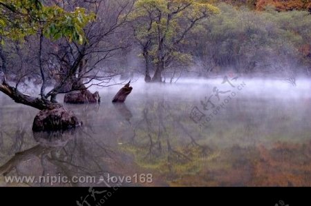 湖面风景图片