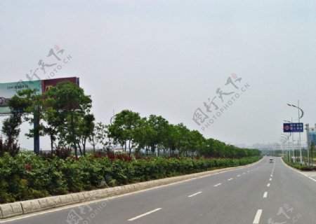 大道绿化道路公路图片