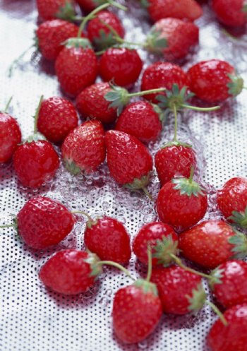 草莓水果控图片