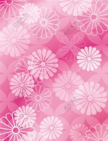 粉红花底图图片