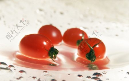 晶莹小西红柿图片