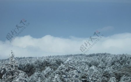 林海雪原图片