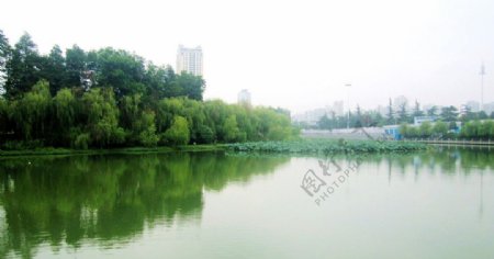 武汉月湖风光图片