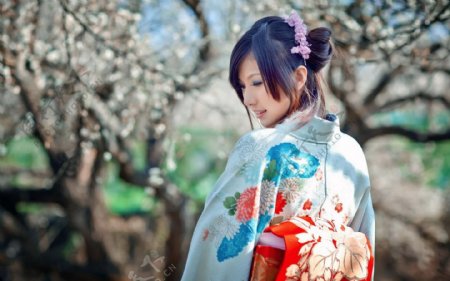 樱花林的和服美女图片