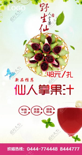 仙人掌果汁海报图片