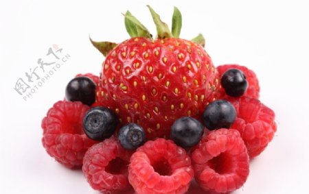 草莓山梅浆果图片