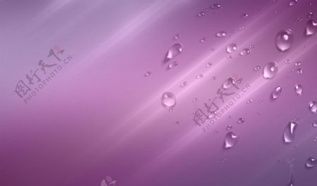 紫色背景水珠图片