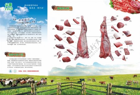 牛肉三折页图片