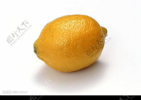 柠檬1图片