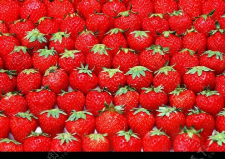 草莓排列图片