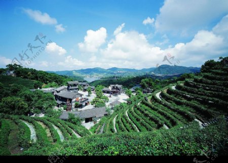 茶翁古镇图片