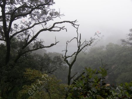 云南风光山雨欲来图片