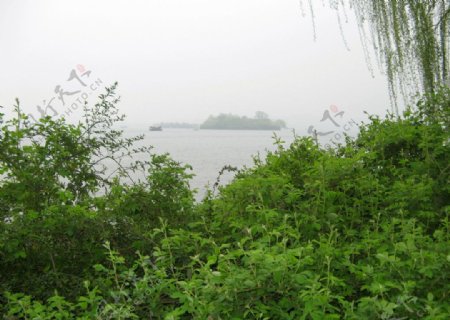 西湖景色图片