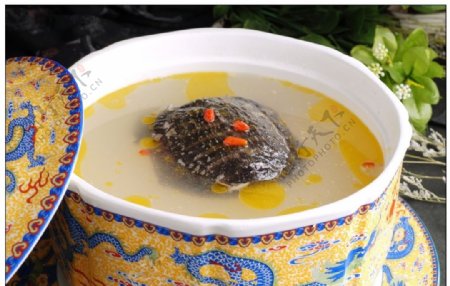 热山珍甲鱼煲图片