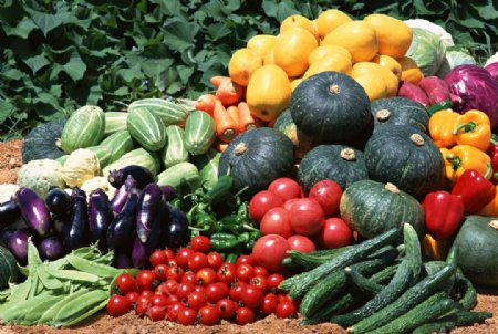 蔬菜类图片
