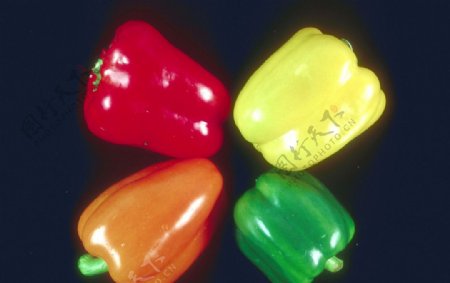 各种颜色的菜椒图片