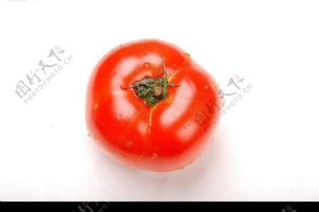 高清晰西红柿图片素材