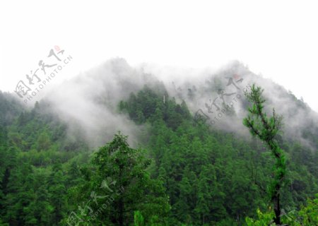 陕西省留坝县张良庙附近初秋雨后云雾缭绕的景色图片