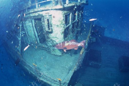 海底世界海底沉船图片