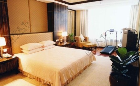 广州花园酒店客房跑步机健身器材床卧室台灯电视柜窗暖调图片