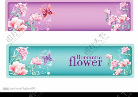 韩国矢量花卉图片