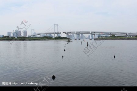 双层跨江大桥图片
