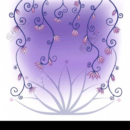 紫花藤矢量图图片
