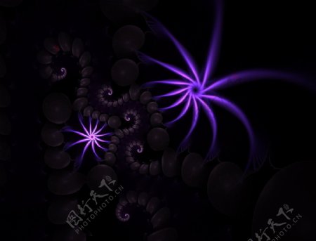 紫色花纹荧光屏图片