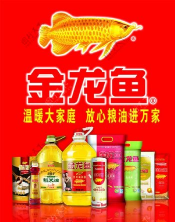 金龙鱼LOGO产品组图片