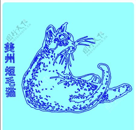 可爱的手绘猫咪图片