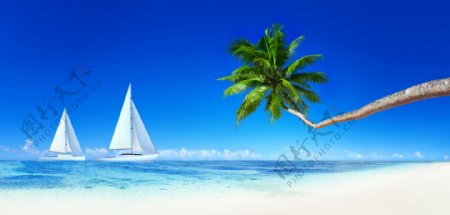 海滩椰树帆船图片