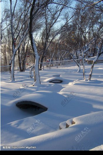 乌鲁木齐的雪景图片