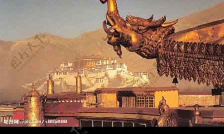 西藏组图9图片