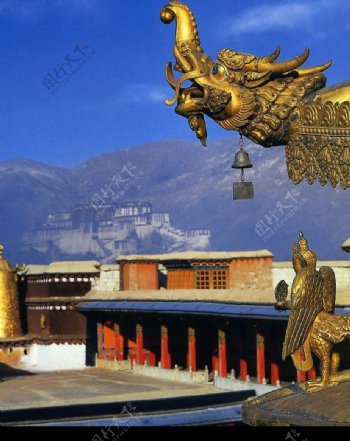 西藏组图10图片
