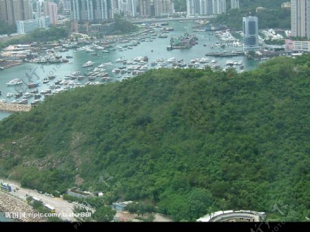 香港海洋公园香港海湾图片