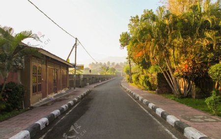 巴厘岛的街道图片
