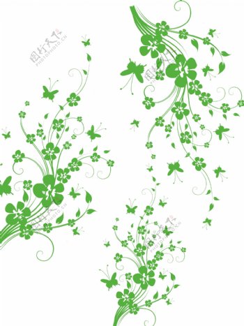 绿色花朵花藤图片