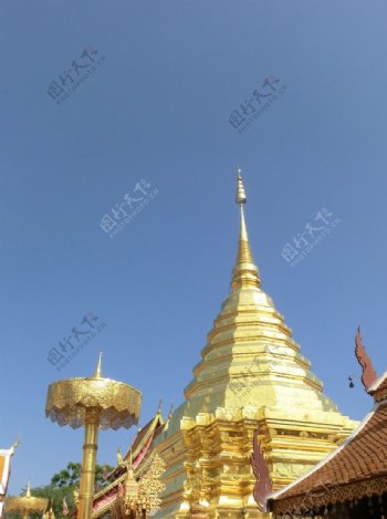 泰国金庙图片